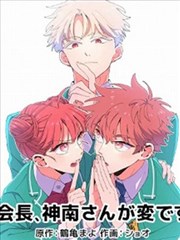 守护甜心漫画第37-44话 亚梦与几斗 封面